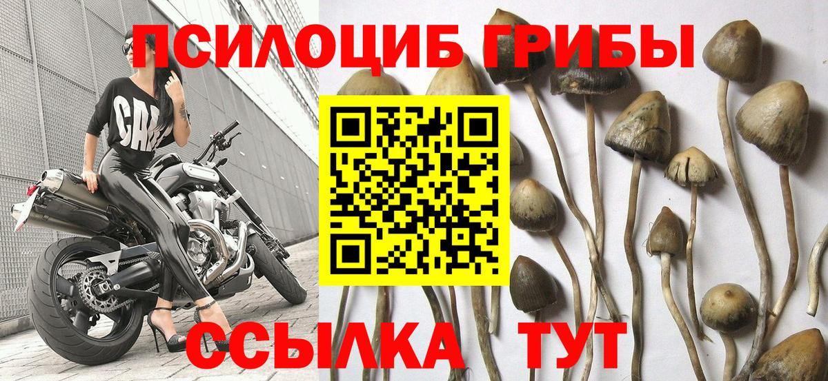 Галлюциногенные грибы прущие грибы Нурлат