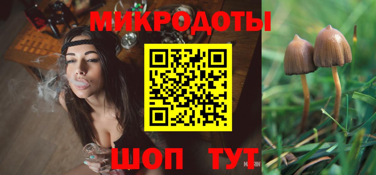 Псилоцибиновые грибы MAGIC MUSHROOMS  Вход с VPN  Нурлат 
